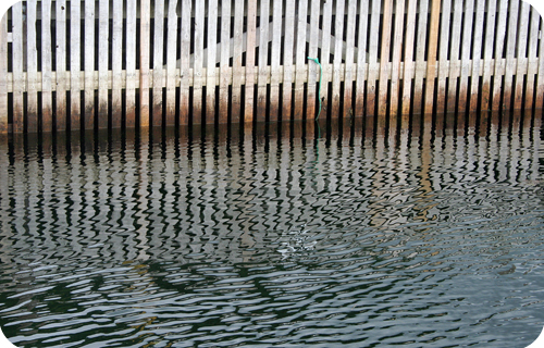 100820Bateau09